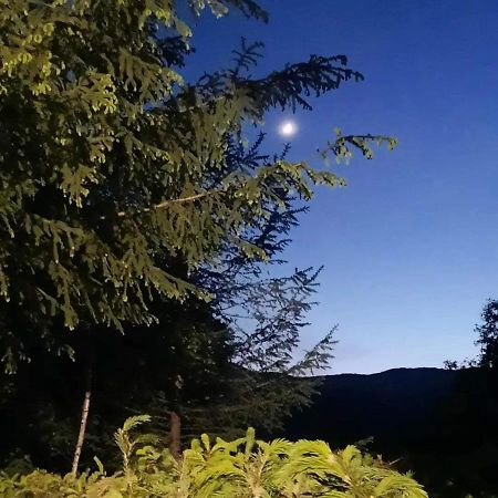 Kalmul Naturii, Iuresul Padurii Firiza-de-Jos Esterno foto