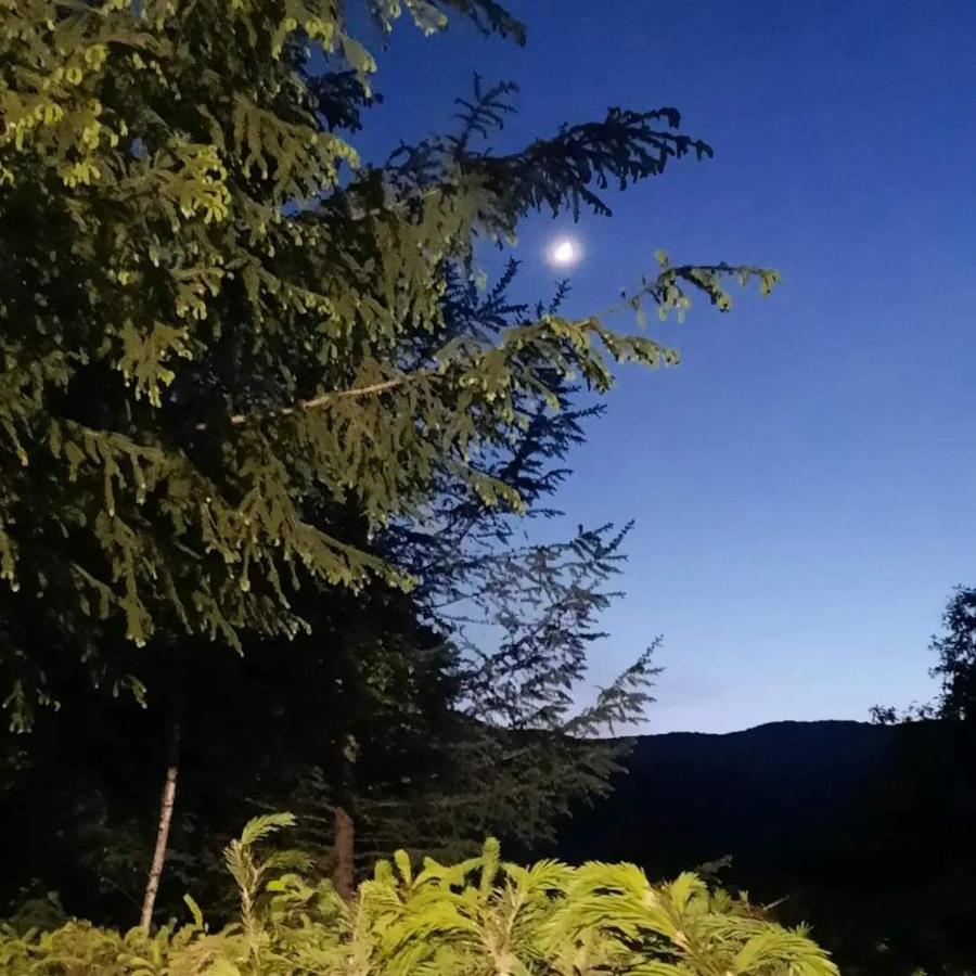 Kalmul Naturii, Iuresul Padurii Firiza-de-Jos Esterno foto